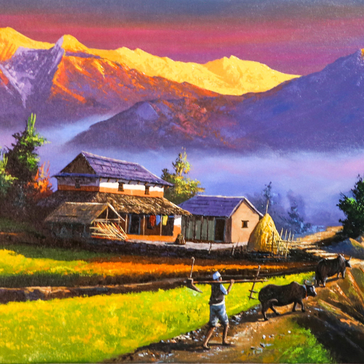 ALOM104 - Sunset over Mt.Annapurna, Fishtail and valley